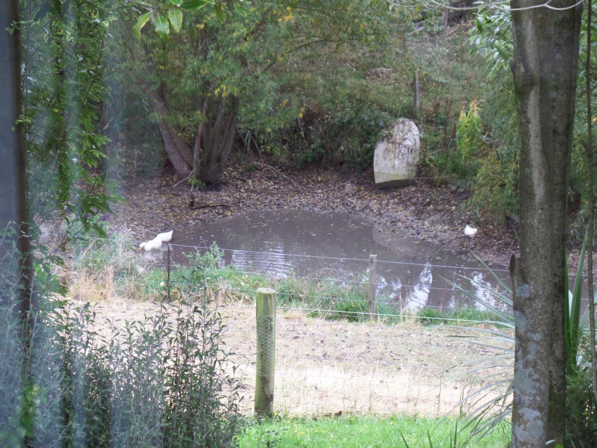 ג'רלדין Riverstone House מראה חיצוני תמונה